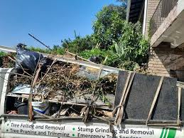 Best Dumpster Rental Services  in Pisgah, AL